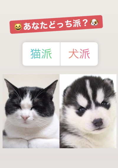 ストーリーズアンケート